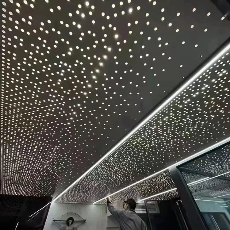 Apa Seni Perforated Aluminium Palsu Panel Metal Ceilings?